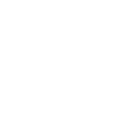 X (Twitter)